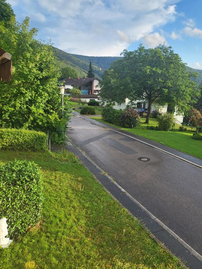 Ferienwohnung Freudenberg Freudenberg am Main Bagian luar foto